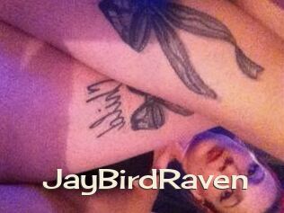 JayBirdRaven