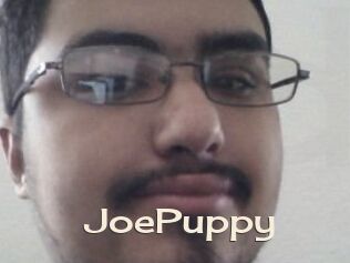 JoePuppy