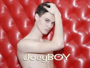 JoeyB0Y