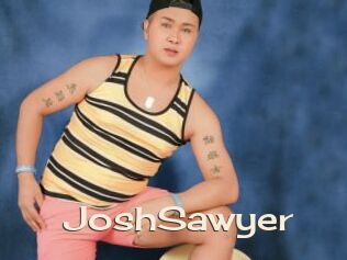 JoshSawyer