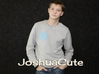 JoshuaCute