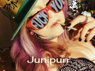 Junipurr