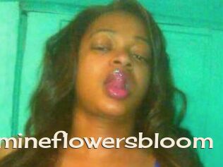 Jasmineflowersbloom