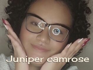 Juniper_camrose