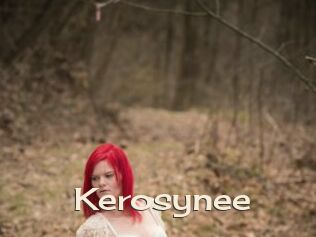 Kerosynee