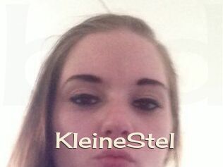 KleineStel
