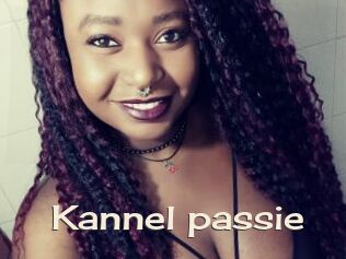 Kannel_passie