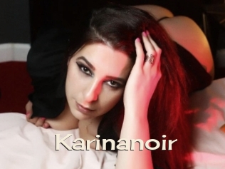 Karinanoir