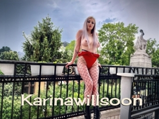 Karinawillsoon