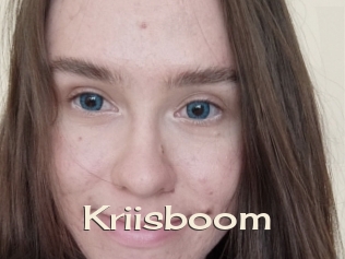 Kriisboom