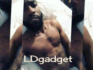 LDgadget