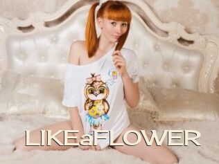 LIKEaFLOWER Big Dicks Round Ass