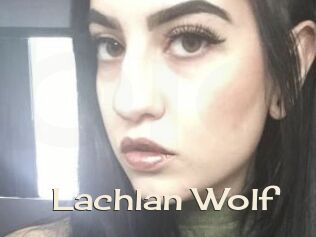 Lachlan_Wolf