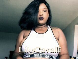 Lily_Cavalli