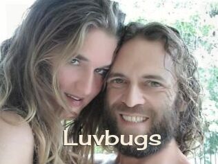 Luvbugs