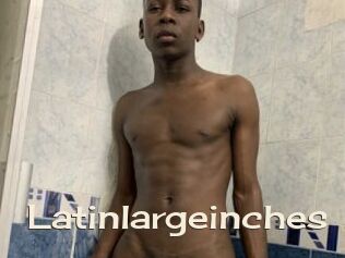 Latinlargeinches