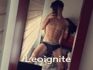 Leoignite
