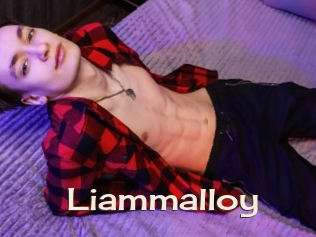 liammalloy Big Dicks Round Ass