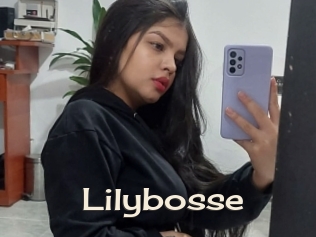 Lilybosse