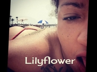 Lilyflower