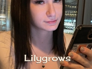 Lilygrows