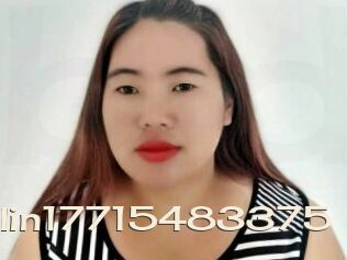 Linlin17715483375