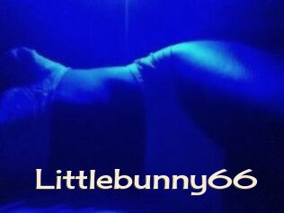 Littlebunny66