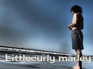 Littlecurly_marley