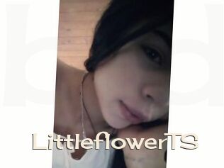 LittleflowerTS