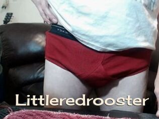 Littleredrooster