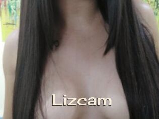 Lizcam