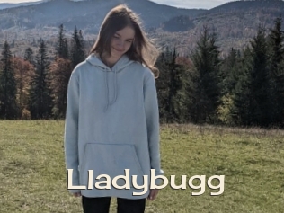Lladybugg
