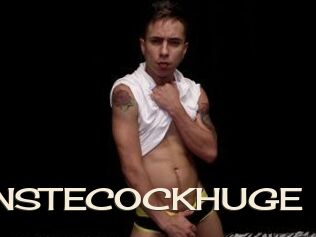 MONSTECOCKHUGE