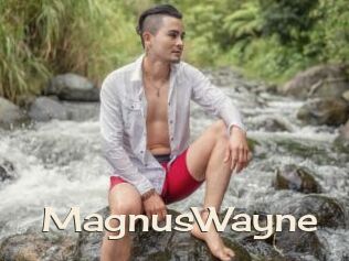 MagnusWayne