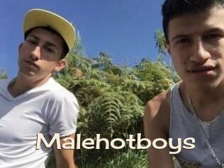 Malehotboys