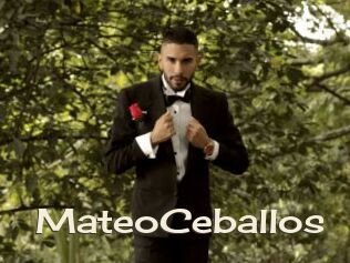 MateoCeballos