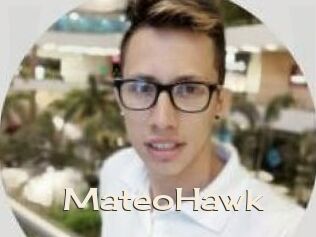 MateoHawk