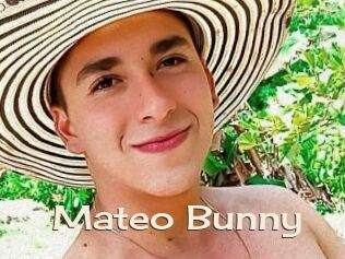 Mateo_Bunny