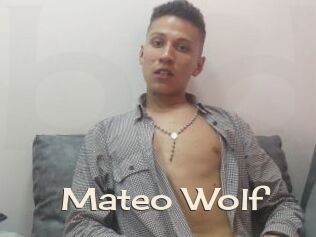 Mateo_Wolf
