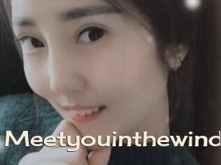 Meetyouinthewind