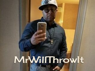 Mr_WillThrowIt