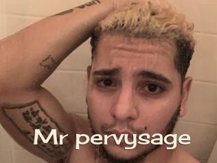 Mr_pervysage