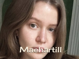 Maehartill