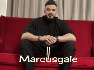 Marcusgale