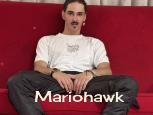Mariohawk