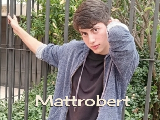 Mattrobert
