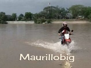 Maurillobig