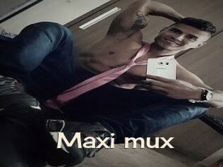 Maxi_mux