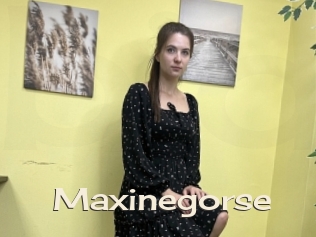 Maxinegorse