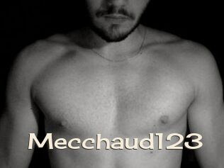 Mecchaud123